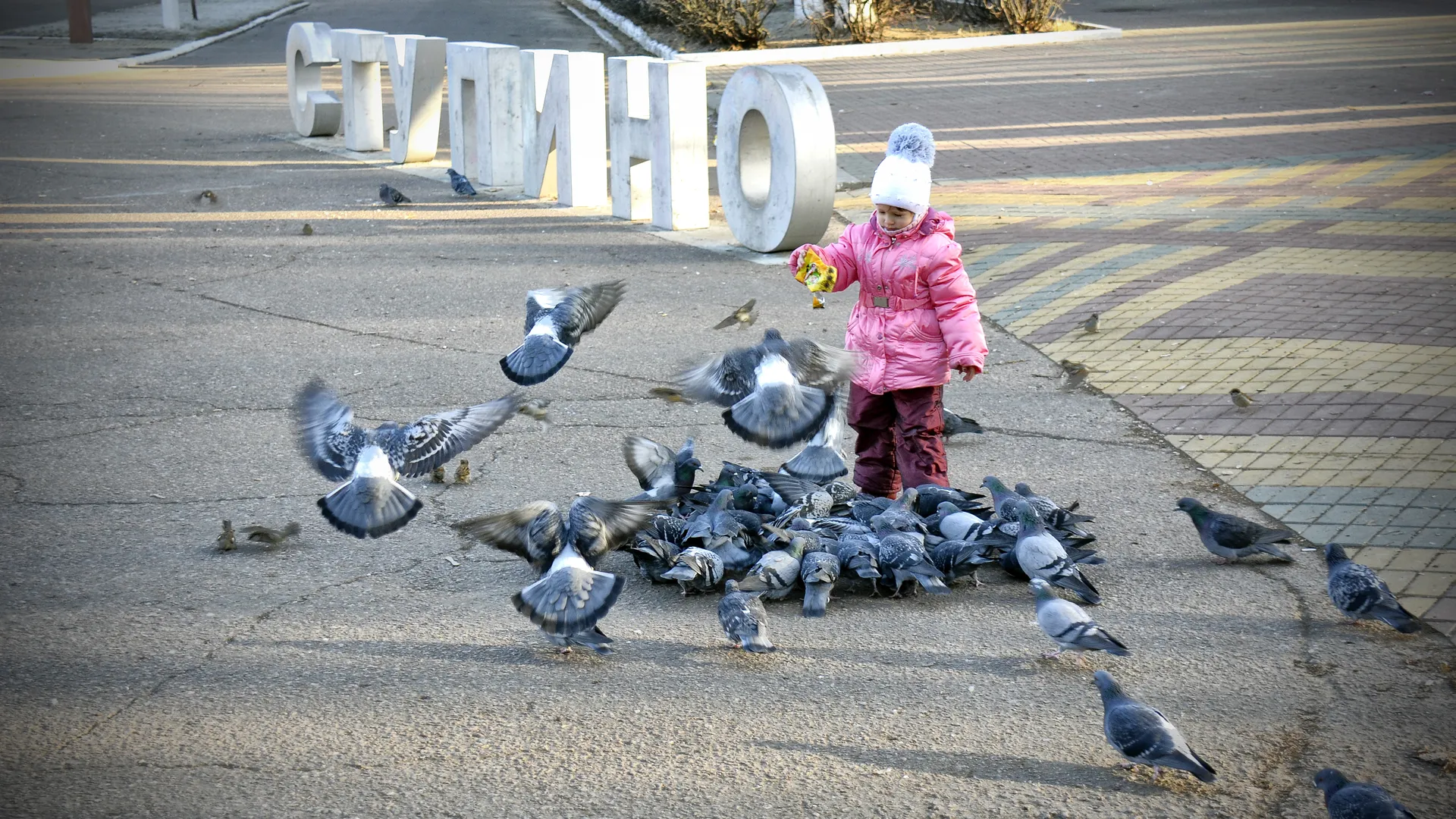 Девочка кормит голубей в Ступино