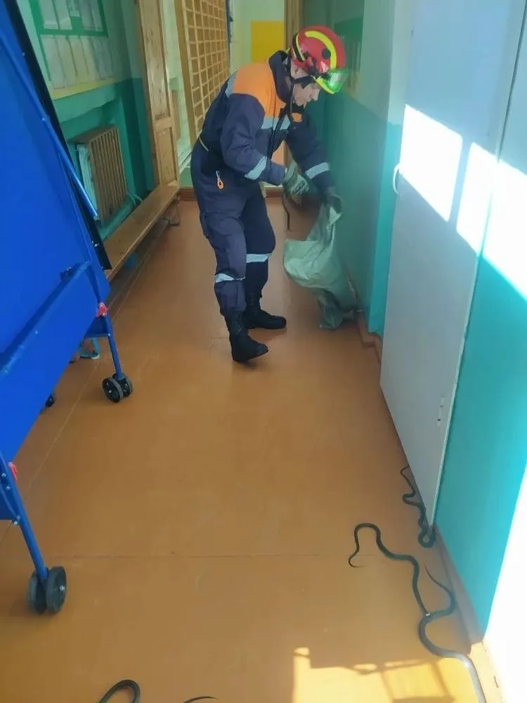 ОГБУ «Пожарно-спасательная служба Костромской области»