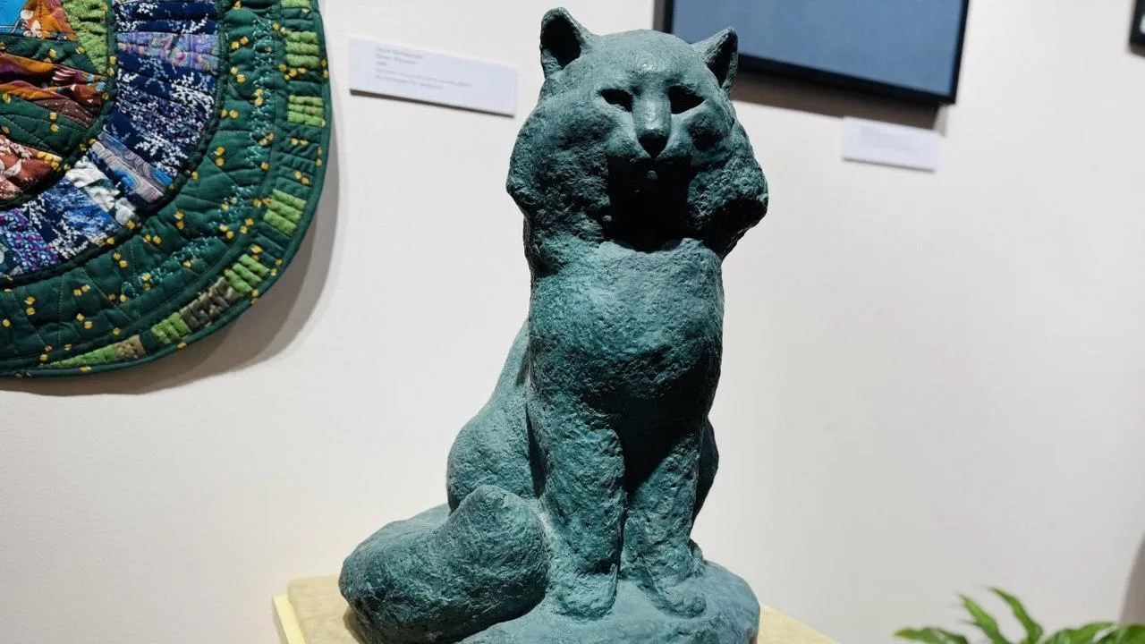 REGIONS/Татьяна Сташенко