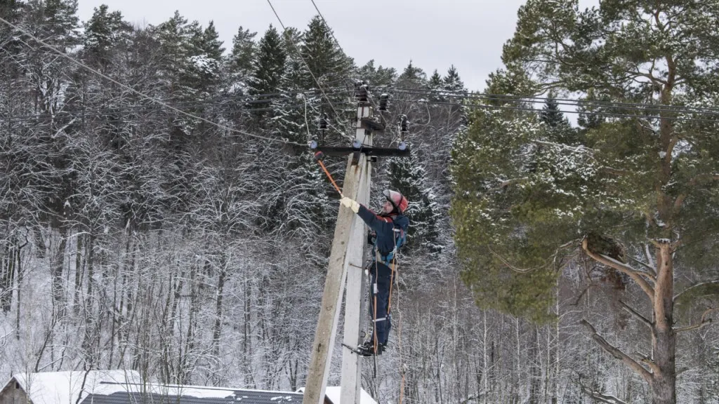 Фото: медиасток.рф