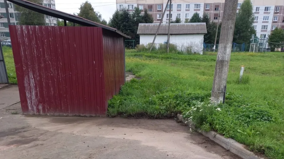 Фото: Администрация городского округа Лотошино