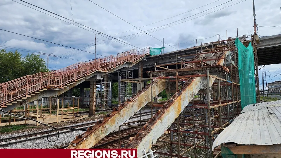 Фото: Светлана Плотникова