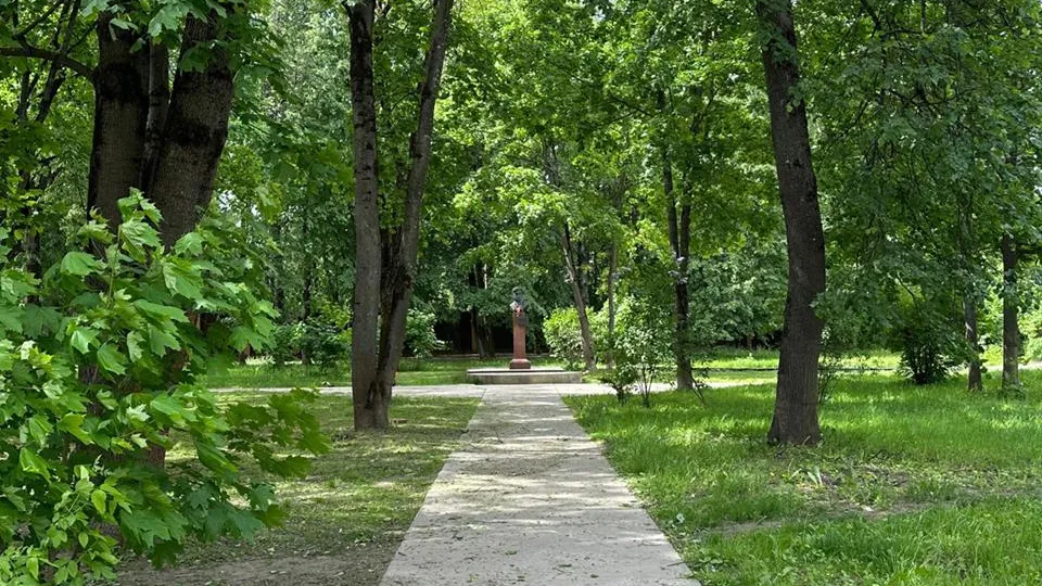 Кристина Тришина