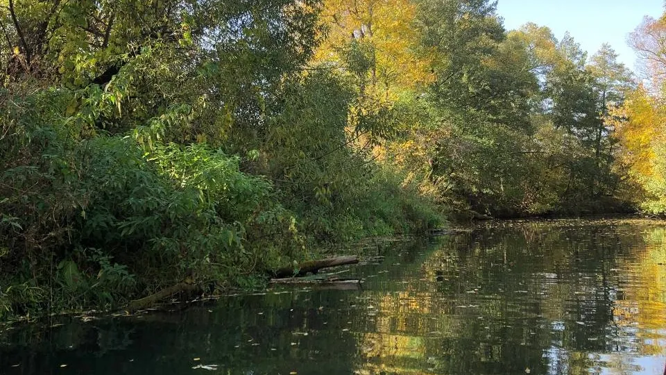 Фото: Надежда Чекалина