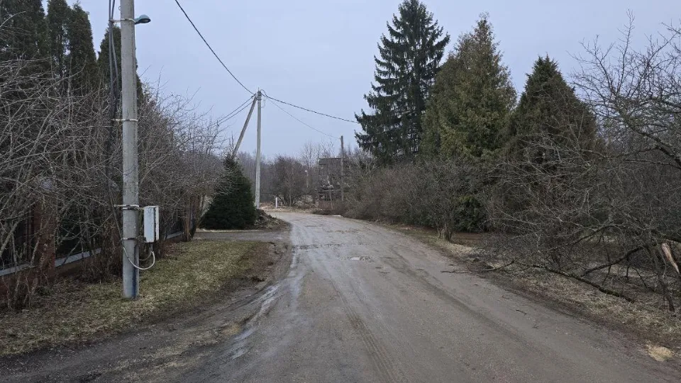 Фото: Яна Шаливская