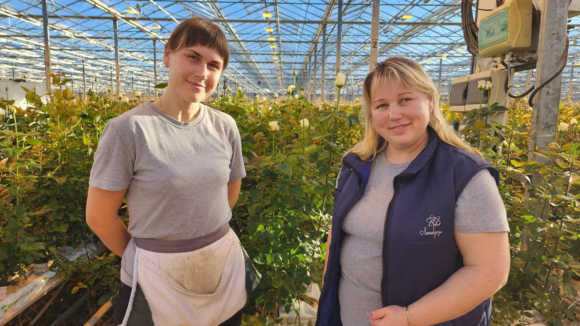 REGIONS/Евгений Рой