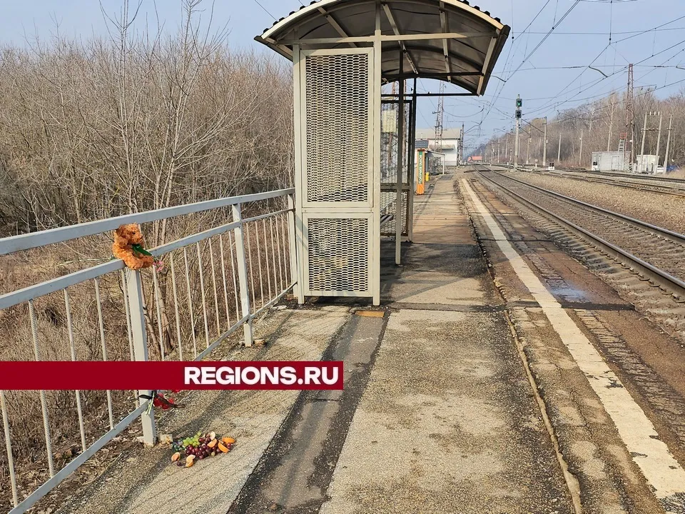 Фото: REGIONS/Александр Дрожжин