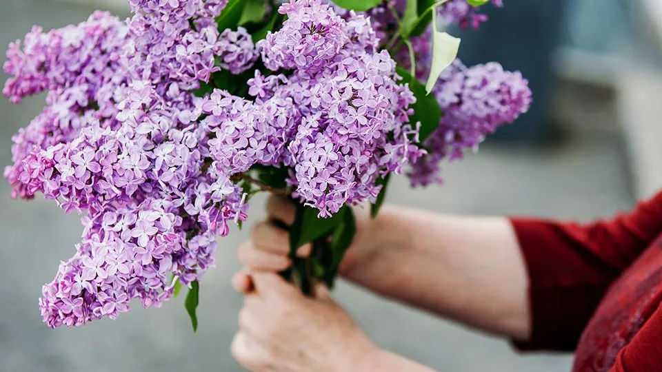 Фото: istockphoto.com