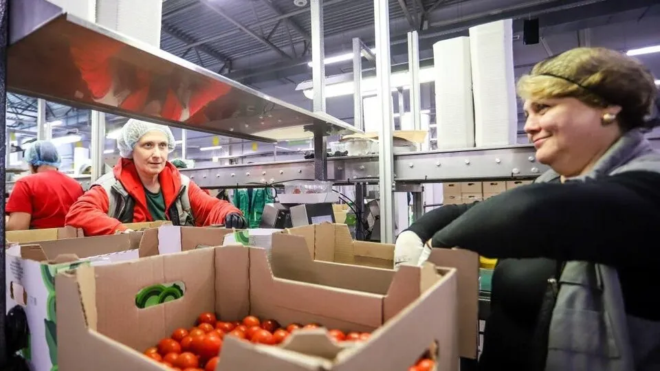 Фото: пресс-служба администрации г.о. Кашира