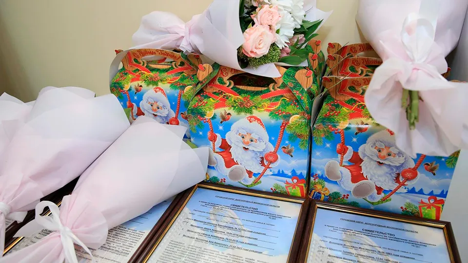 Фото: пресс-служба администрации г.о. Долгопрудный