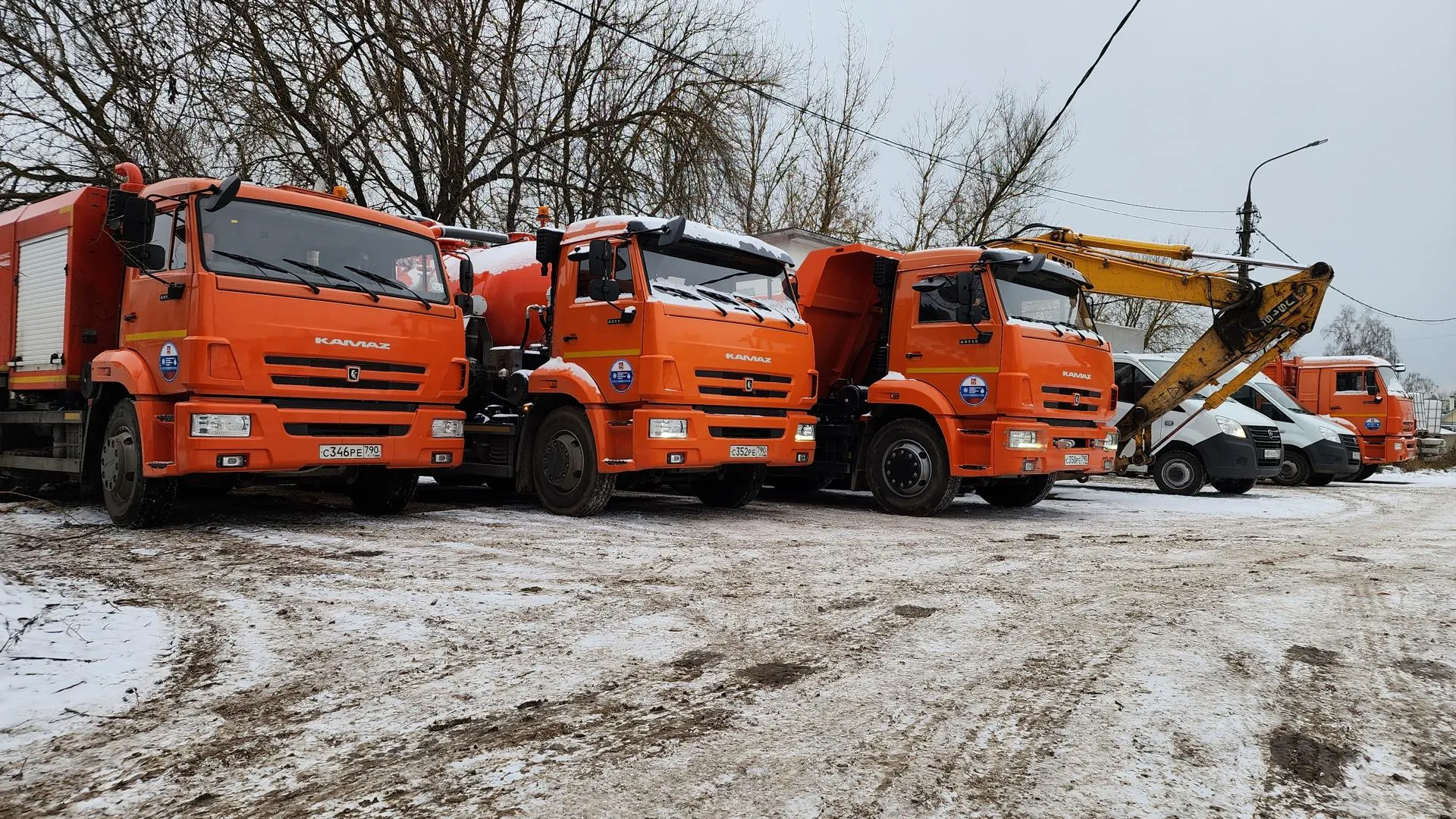 Валерия Тингаева