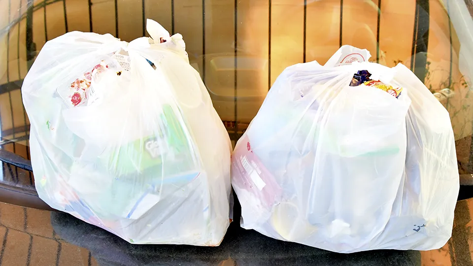 Фото: Наталья Бычкова