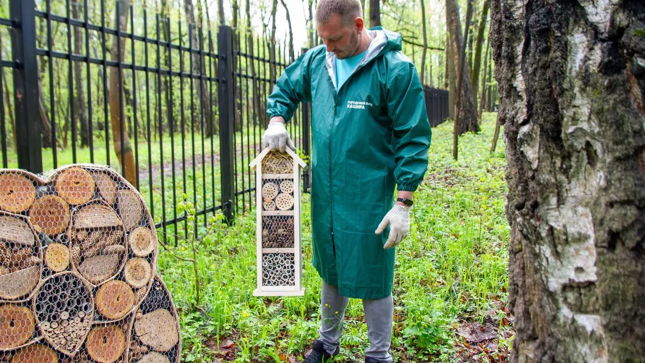 Фото: пресс-служба администрации г.о. Кашира