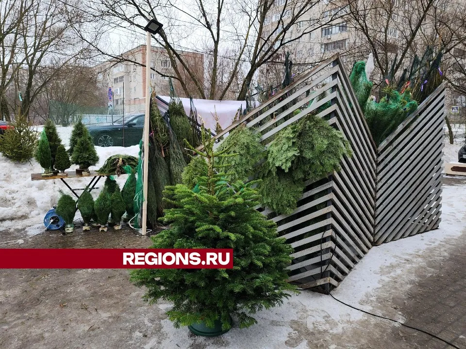 Фото: Никита Сморкалов