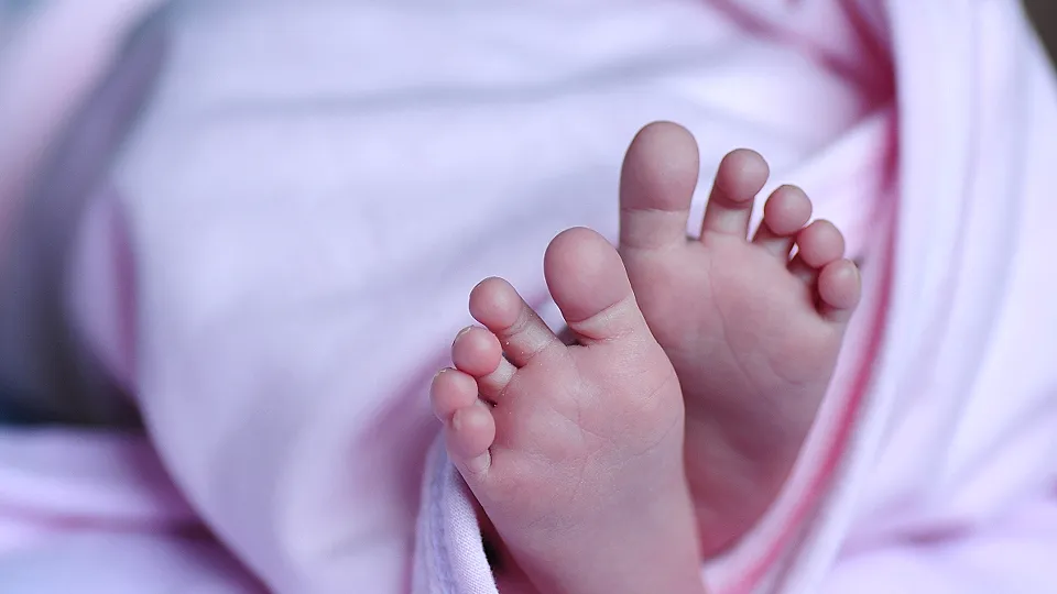 Фото: pxhere.com