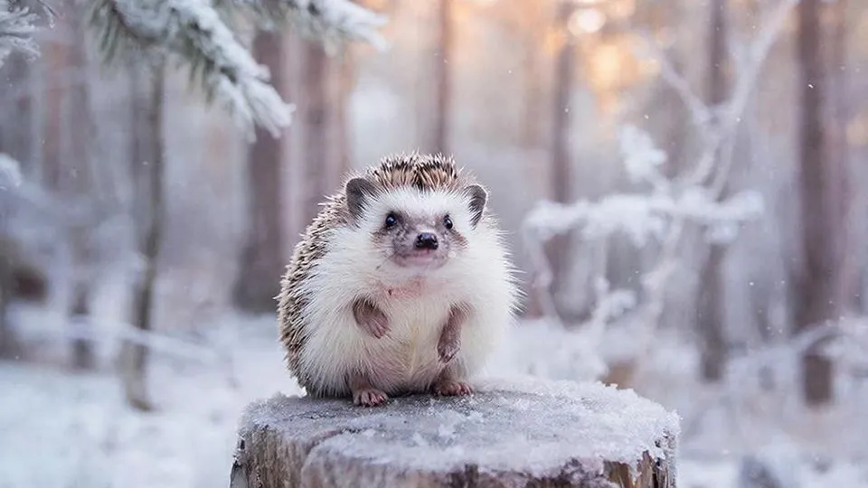 Фото: REGIONS/Сгенерировано нейросетью