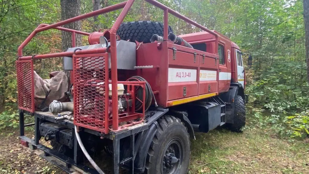 Комитет лесного хозяйства Московской области