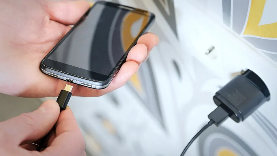 Фото: istockphoto.com/yunava1