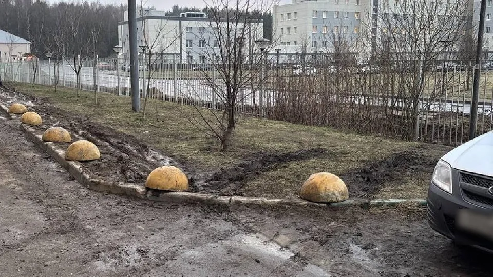 Фото: администрация Одинцовского городского округа