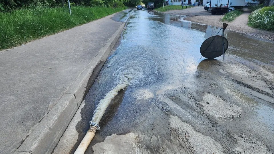 Фото: Светлана Борщева