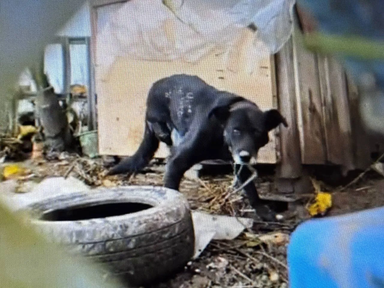 Фото: REGIONS&nbsp;