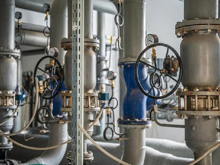 Фото: пресс-служба губернатора и правительства Московской области