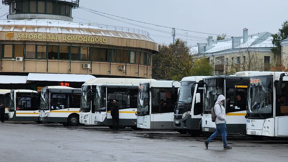 Фото: МедиаБанк Подмосковья/Анастасия Сараева