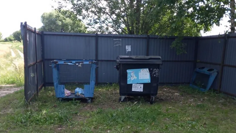 Фото: Администрация городского округа Лотошино