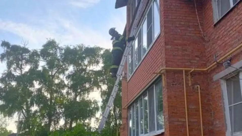 Фото: ГКУ МО «Мособлпожспас»