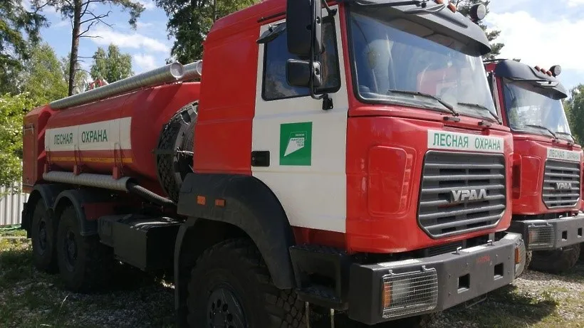 Фото: пресс-служба Комитета лесного хозяйства Московской области