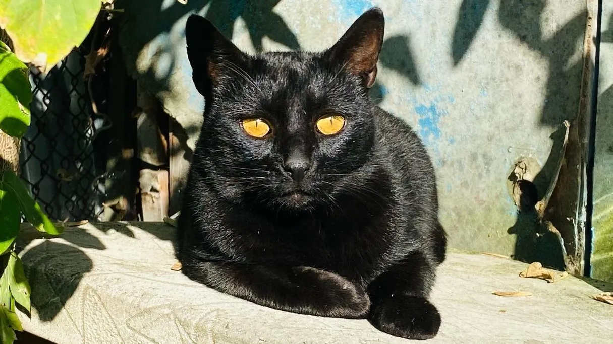 Фото: Мария С. / ВКонтакте