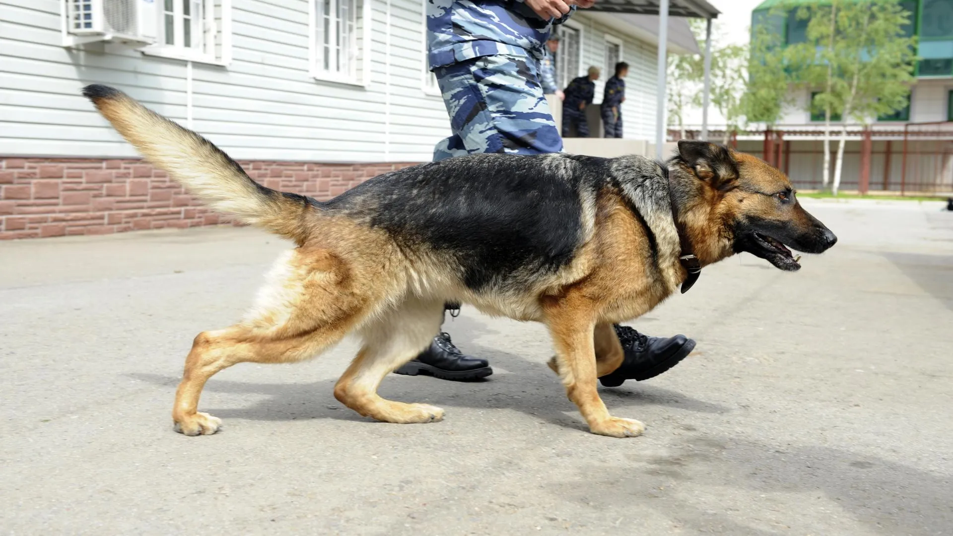 REGIONS/Владимир Ерастов