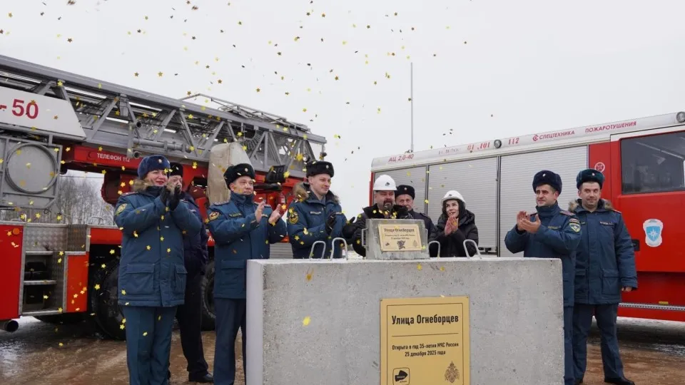 Фото: ГУ МЧС по Московской области