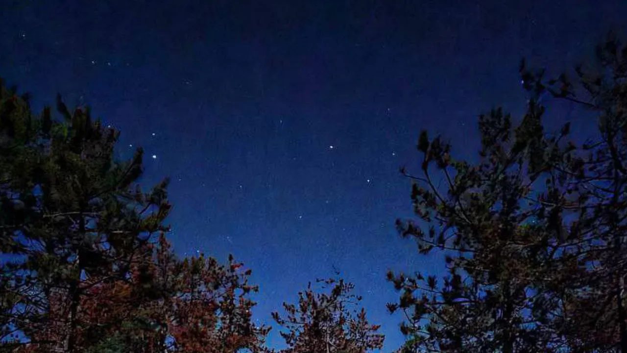 Фото: REGIONS/Анастасия Широкая