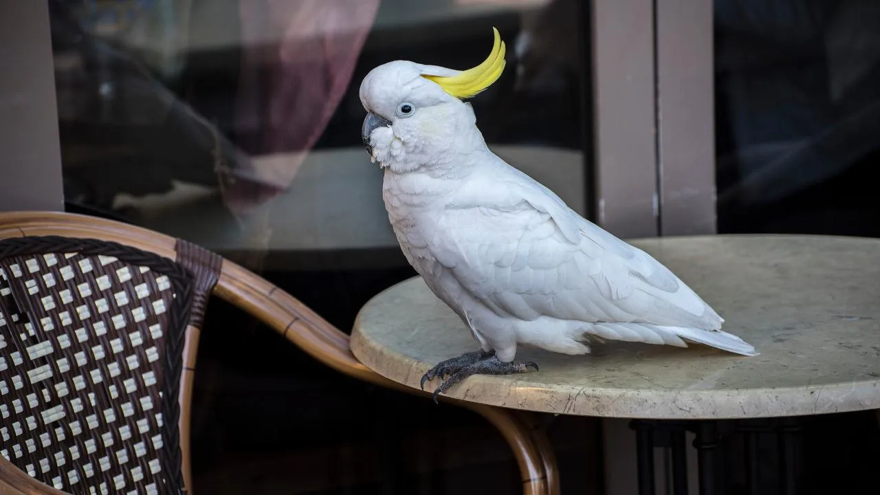 istockphoto.com