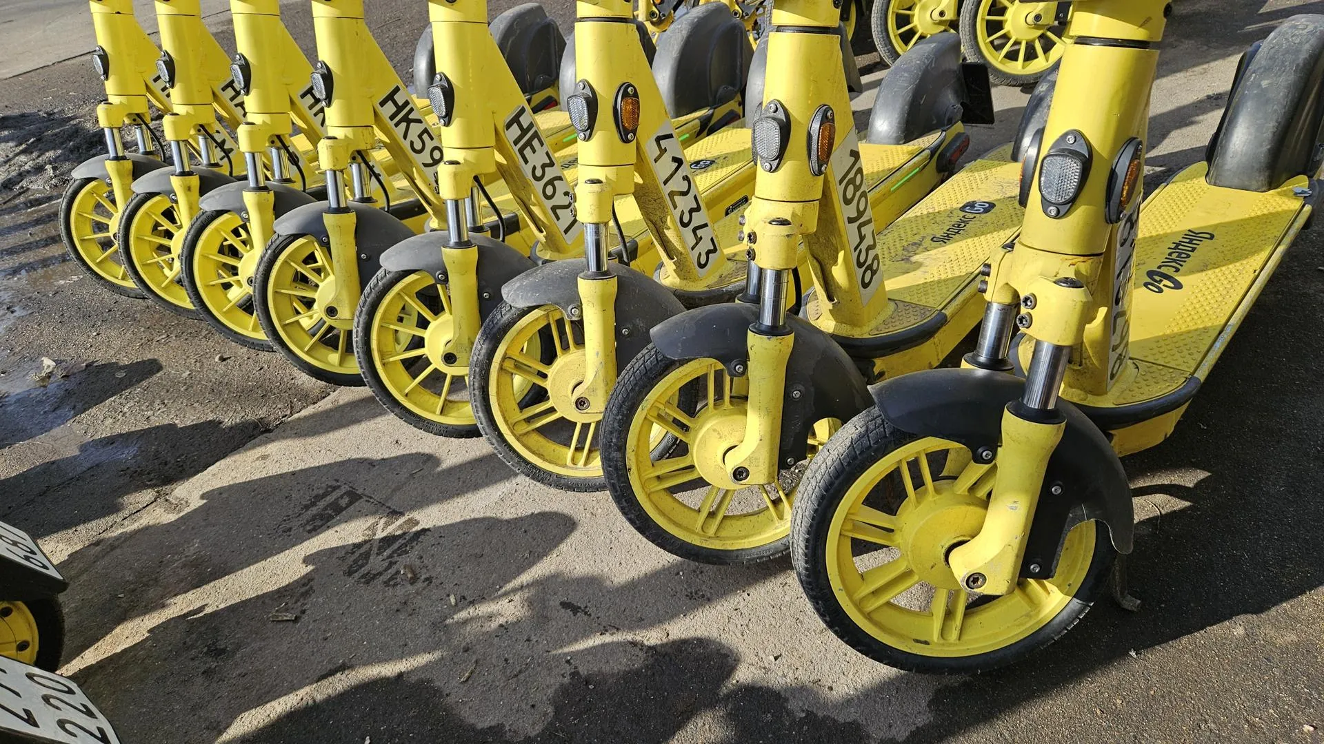 МедиаБанк Подмосковья/Вероника Горбачева