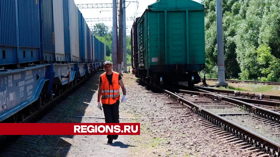 Фото: Василий Тремасов / Regions