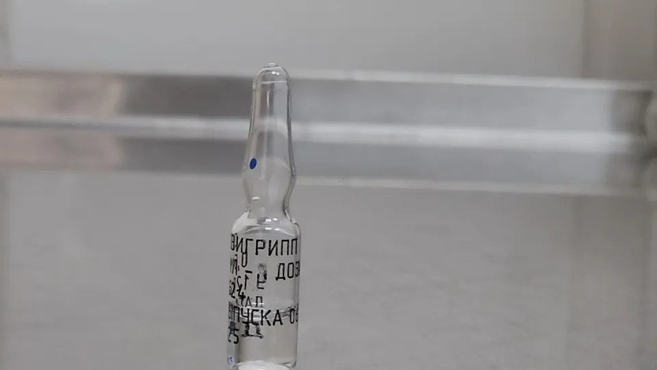 Фото: МедиаБанк Подмосковья/Никита Сморкалов