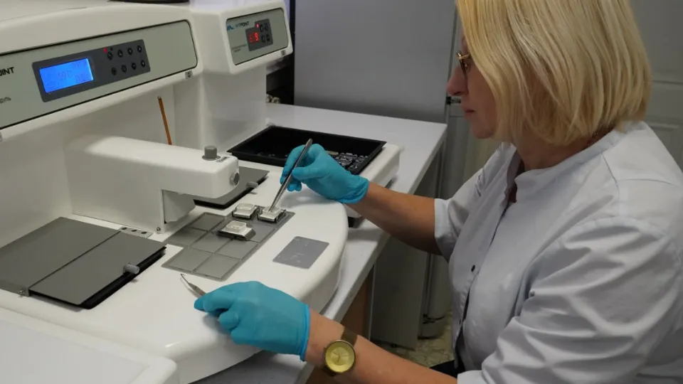 Фото: t.me/alexander_gorbylev_ruza