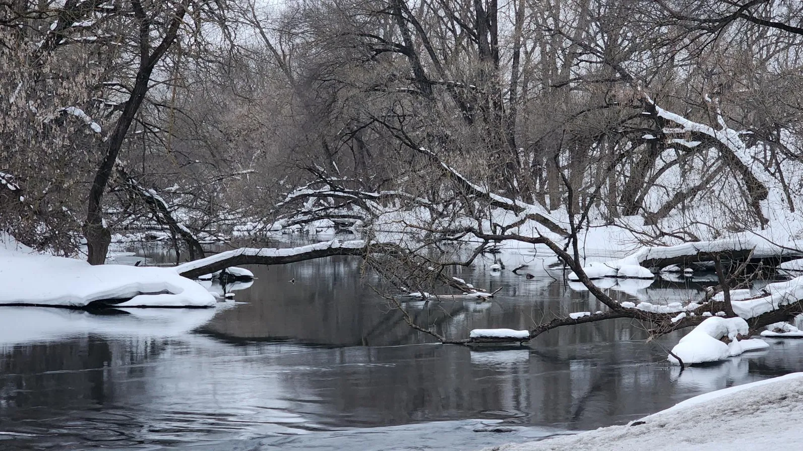 Марина Анисимова