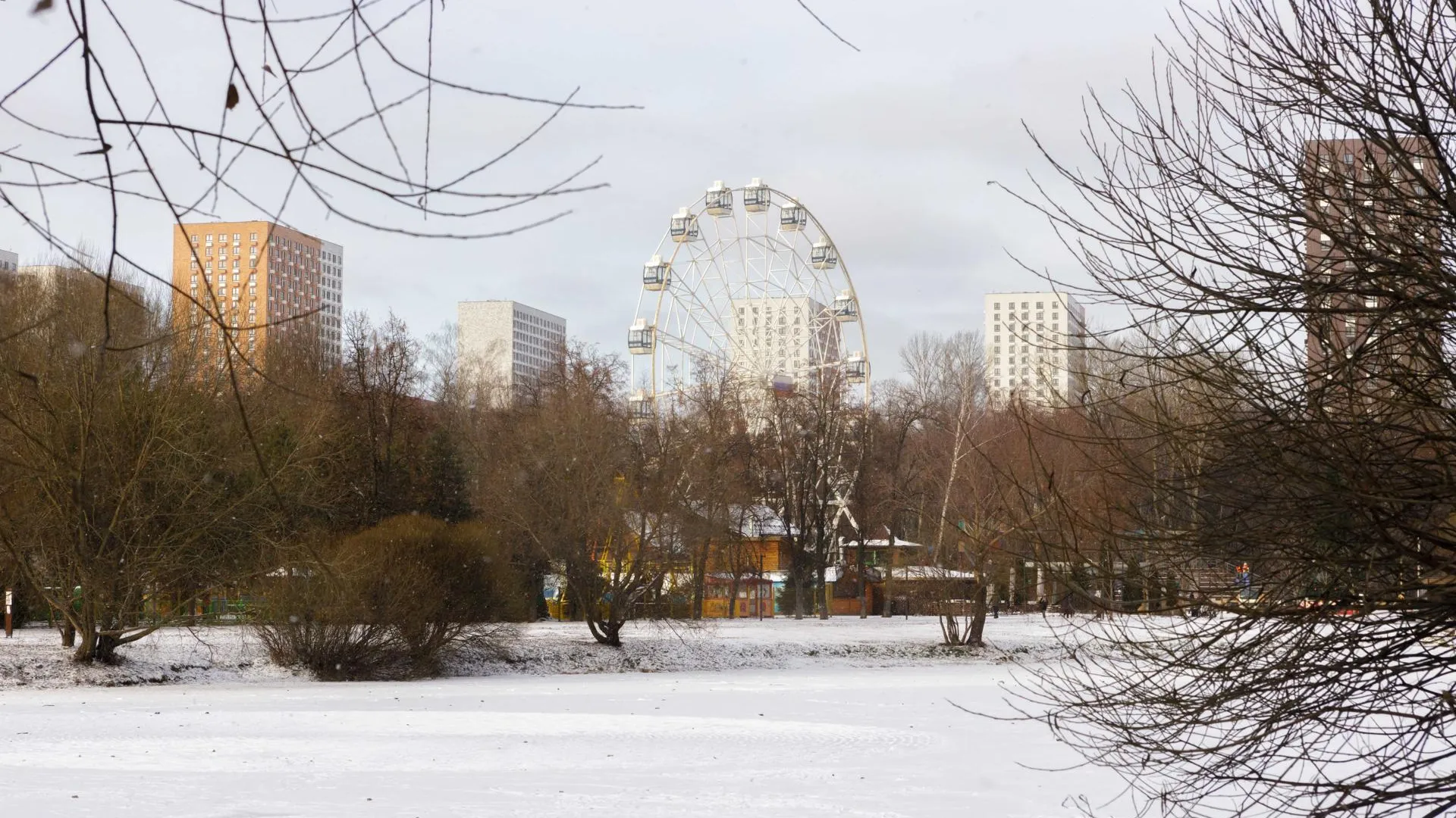 Наталья Лымарь