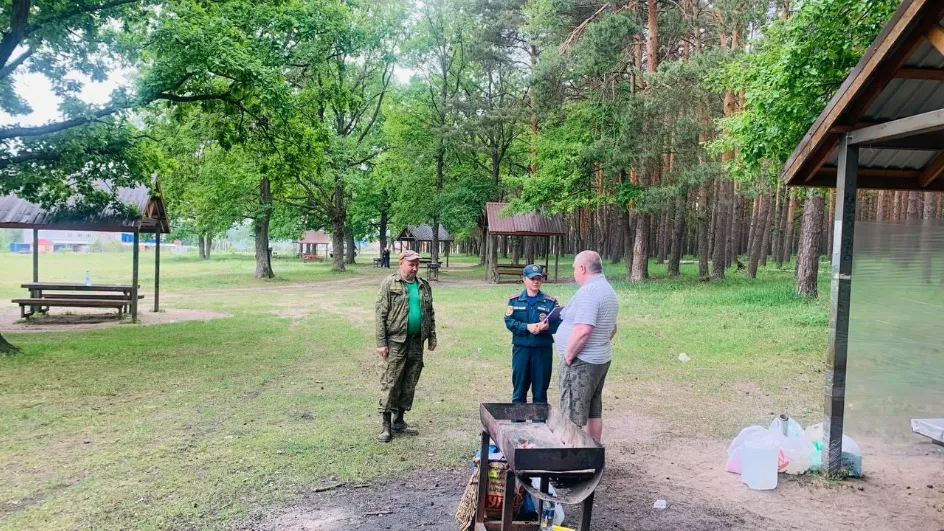 Фото: Комитет лесного хозяйства МО