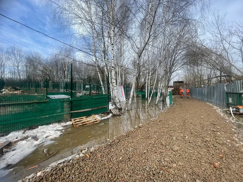 Фото: пресс-служба Администрации Ленинского г.о.