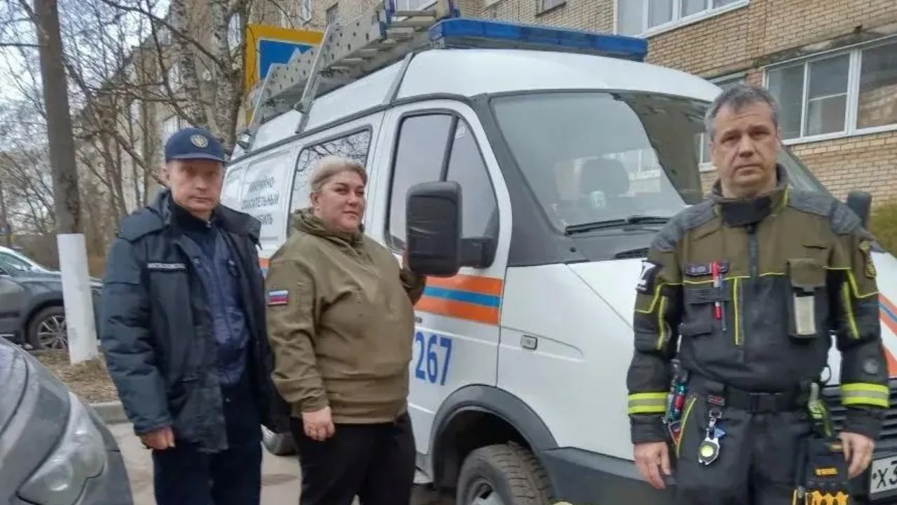 Картинка