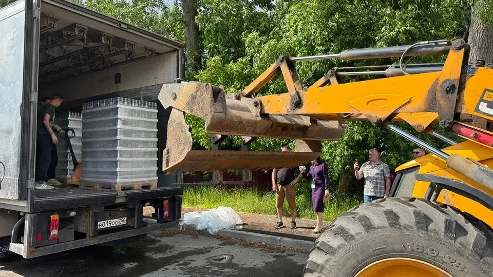 Фото: пресс-служба администрации г.о. Красногорск