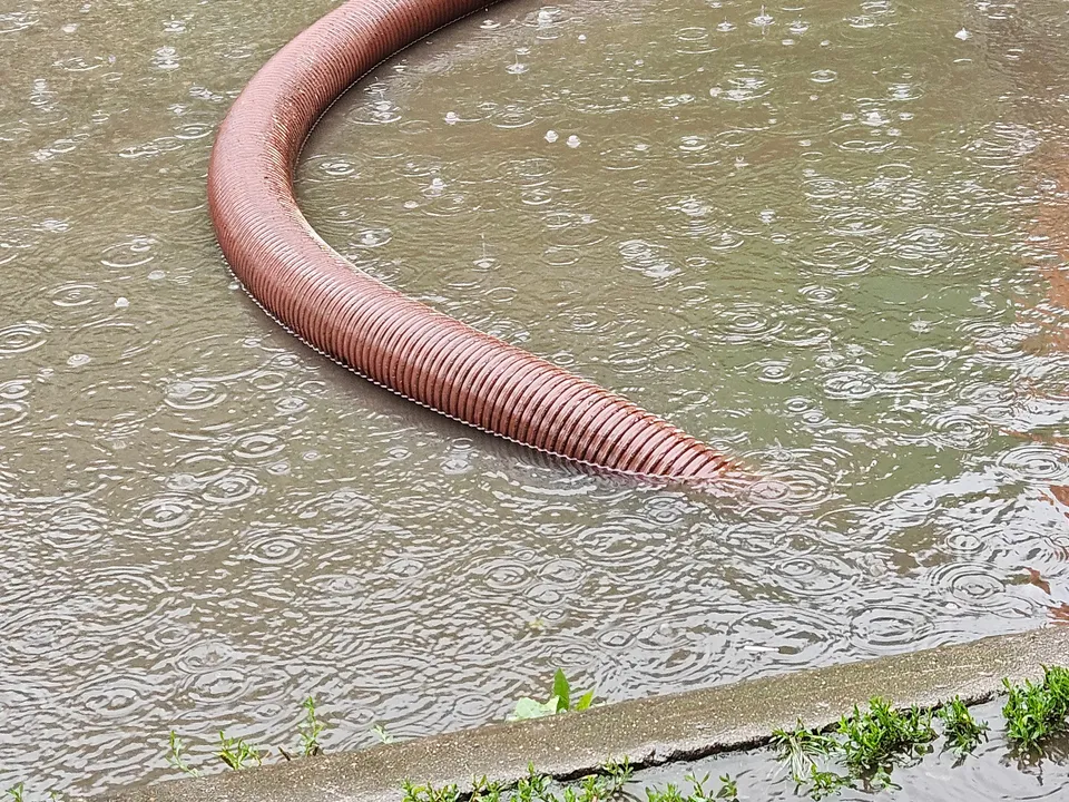 Фото: пресс-служба администрации г.о. Люберцы