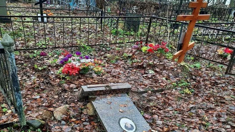 «ЧП Дмитров» / «ВКонтакте»