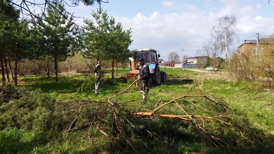Фото: vk.com/ЦКС муниципального округа Лотошино