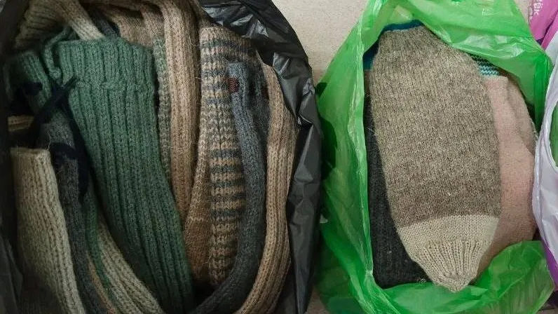 Фото: пресс-служба администрации Можайского м. о.