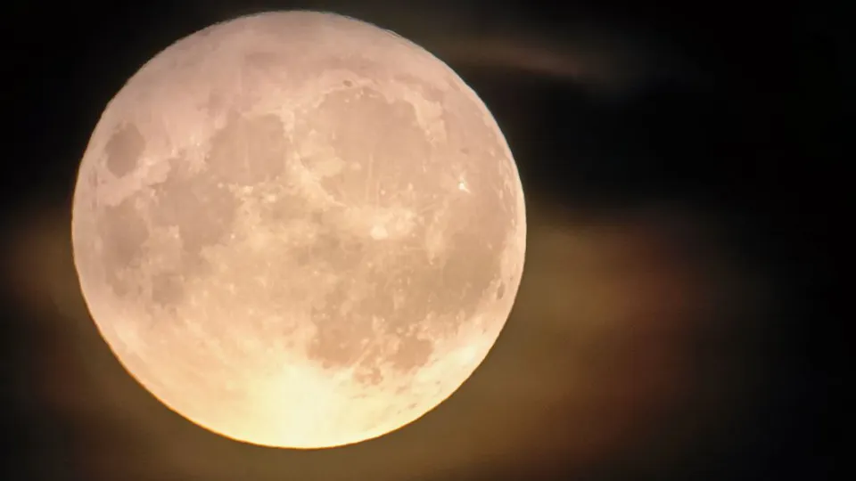 Фото: МедиаБанк Подмосковья/Яна Шаливская